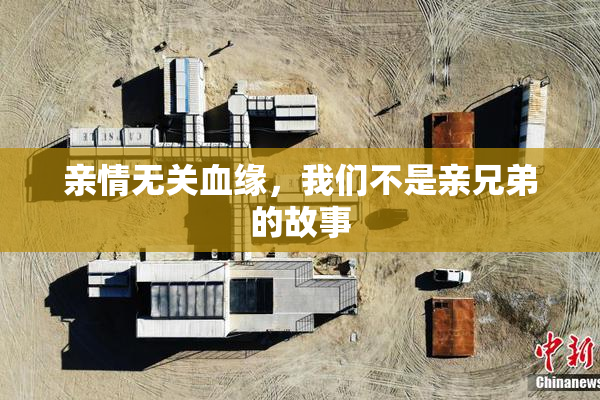 亲情无关血缘，我们不是亲兄弟的故事