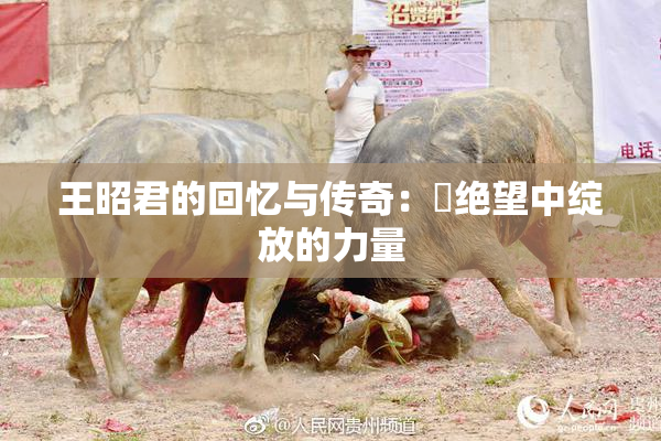 王昭君的回忆与传奇：從绝望中绽放的力量