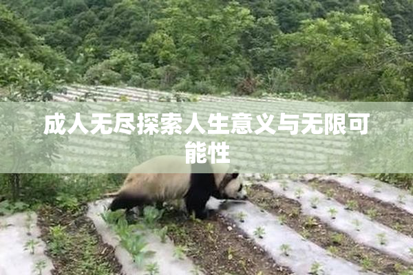 成人无尽探索人生意义与无限可能性
