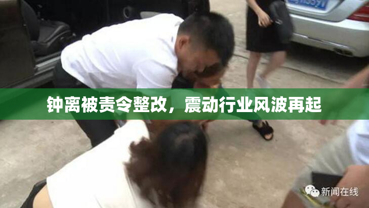 钟离被责令整改，震动行业风波再起