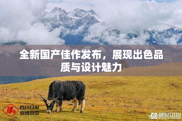 全新国产佳作发布，展现出色品质与设计魅力