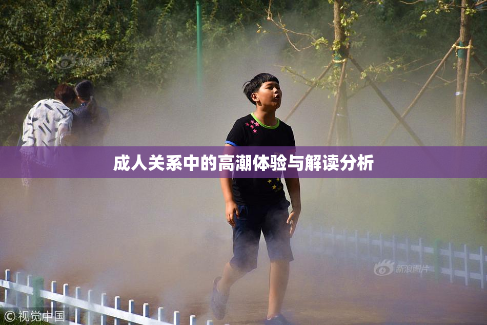 成人关系中的高潮体验与解读分析
