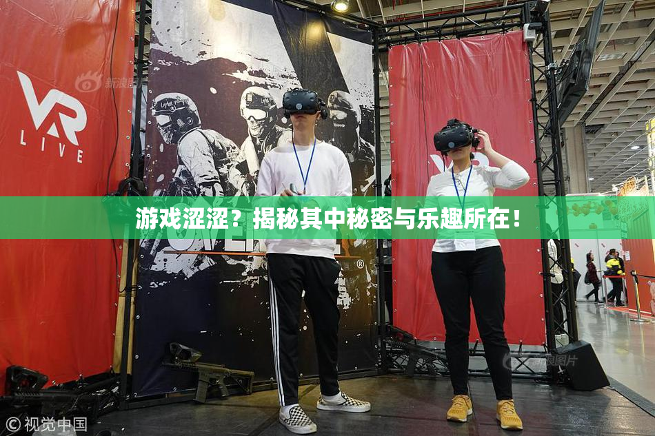 游戏涩涩？揭秘其中秘密与乐趣所在！