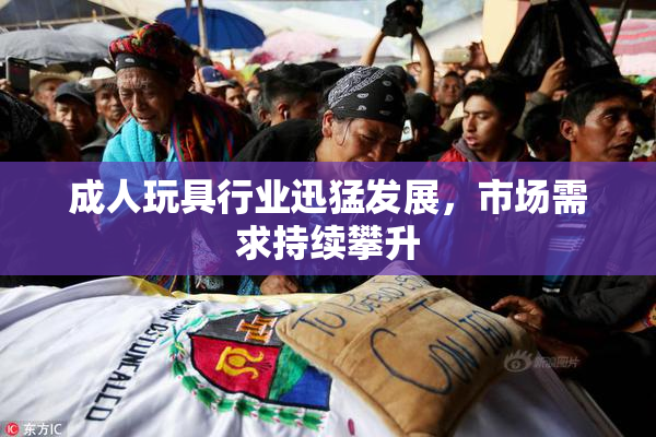 成人玩具行业迅猛发展，市场需求持续攀升