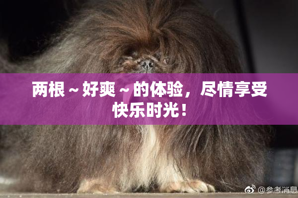 两根～好爽～的体验，尽情享受快乐时光！