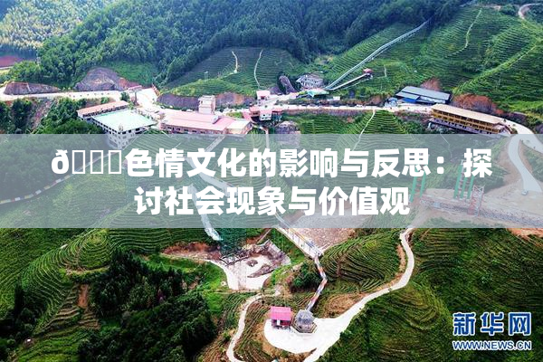 🔞色情文化的影响与反思：探讨社会现象与价值观