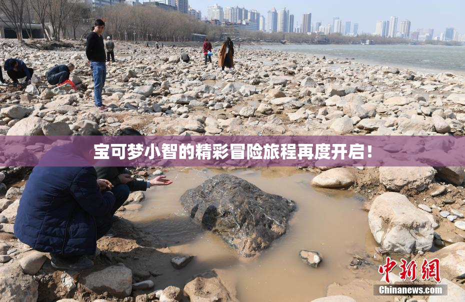 宝可梦小智的精彩冒险旅程再度开启！