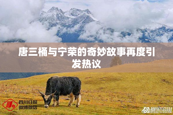 唐三桶与宁荣的奇妙故事再度引发热议