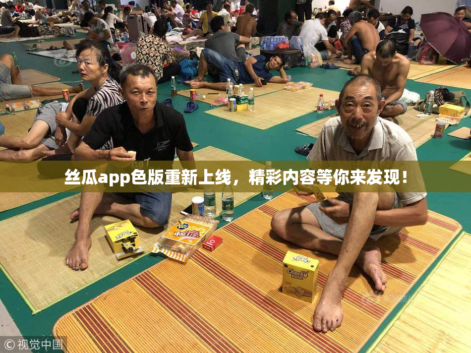 丝瓜app色版重新上线，精彩内容等你来发现！