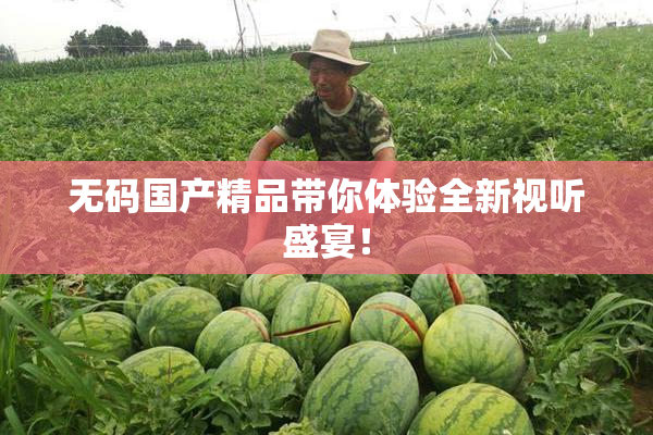 无码国产精品带你体验全新视听盛宴！