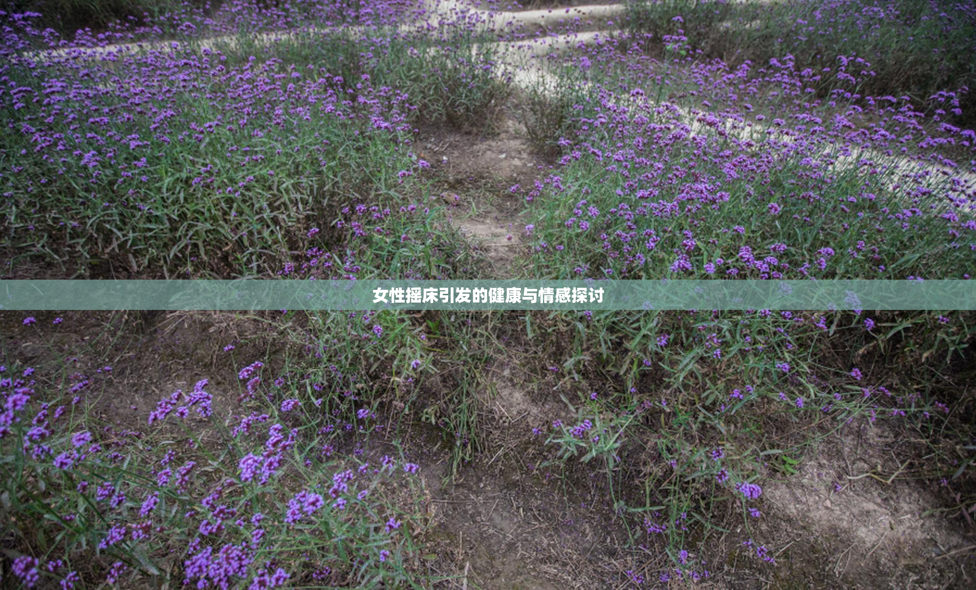女性摇床引发的健康与情感探讨