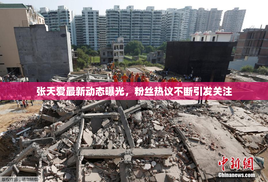 张天爱最新动态曝光，粉丝热议不断引发关注
