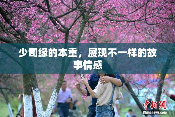少司缘的本重，展现不一样的故事情感