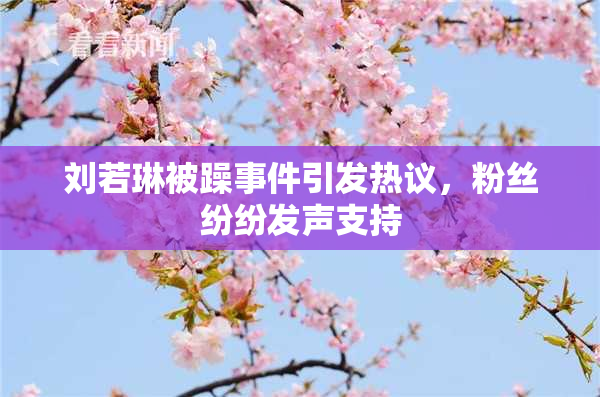 刘若琳被躁事件引发热议，粉丝纷纷发声支持
