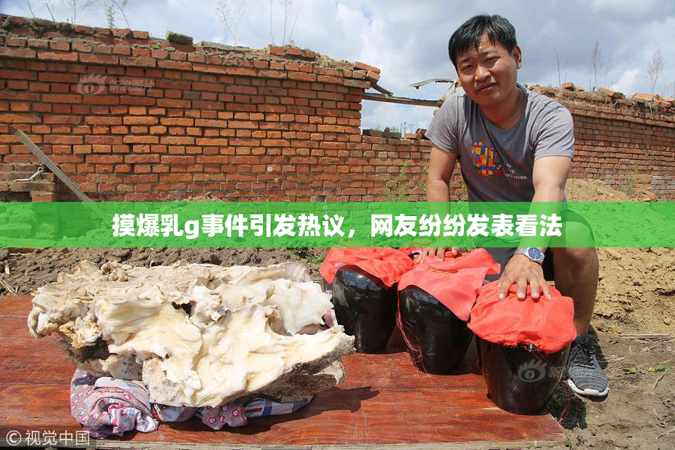 摸爆乳g事件引发热议，网友纷纷发表看法