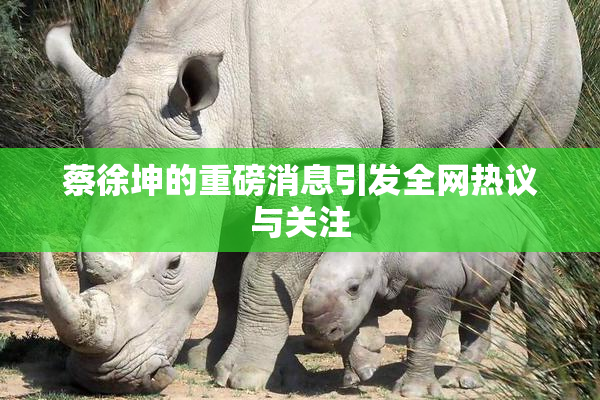 蔡徐坤的重磅消息引发全网热议与关注