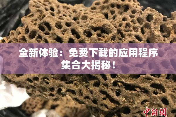 全新体验：免费下载的应用程序集合大揭秘！