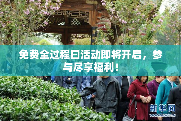 免费全过程曰活动即将开启，参与尽享福利！