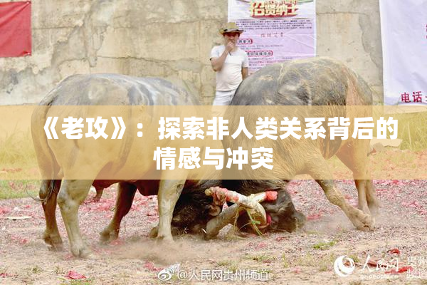 《老攻》：探索非人类关系背后的情感与冲突