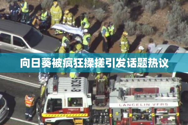 向日葵被疯狂揉搓引发话题热议