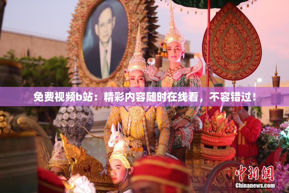 免费视频b站：精彩内容随时在线看，不容错过！