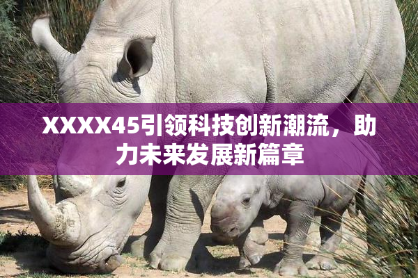 XXXX45引领科技创新潮流，助力未来发展新篇章