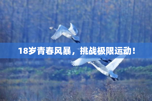 18岁青春风暴，挑战极限运动！
