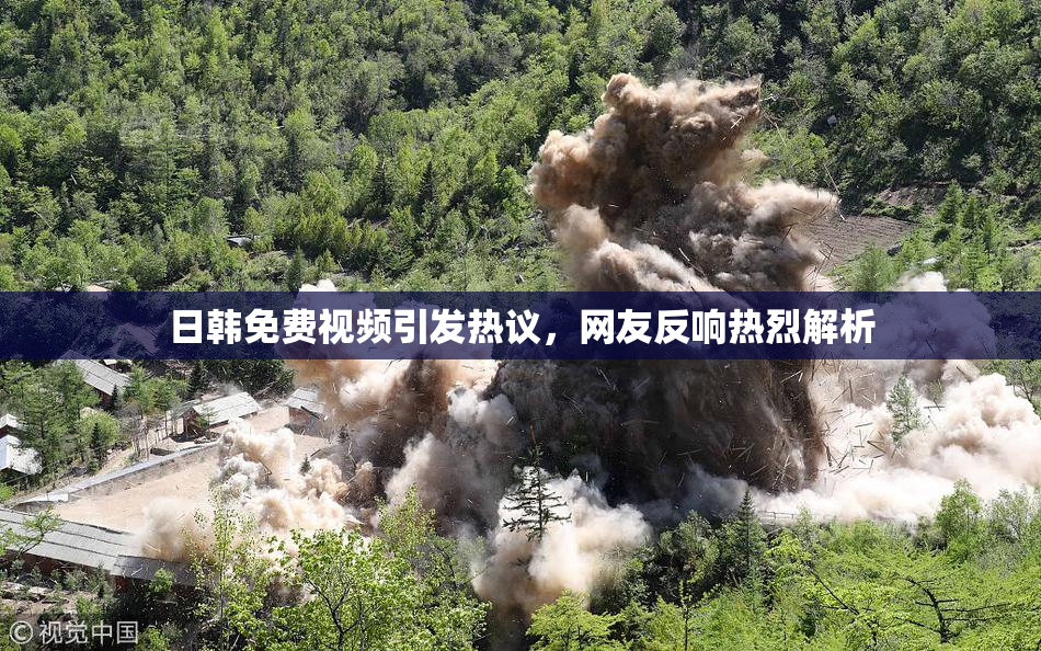 日韩免费视频引发热议，网友反响热烈解析