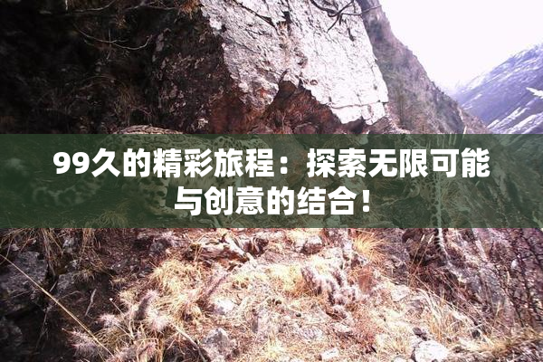 99久的精彩旅程：探索无限可能与创意的结合！