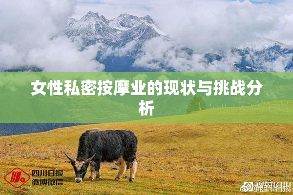 女性私密按摩业的现状与挑战分析