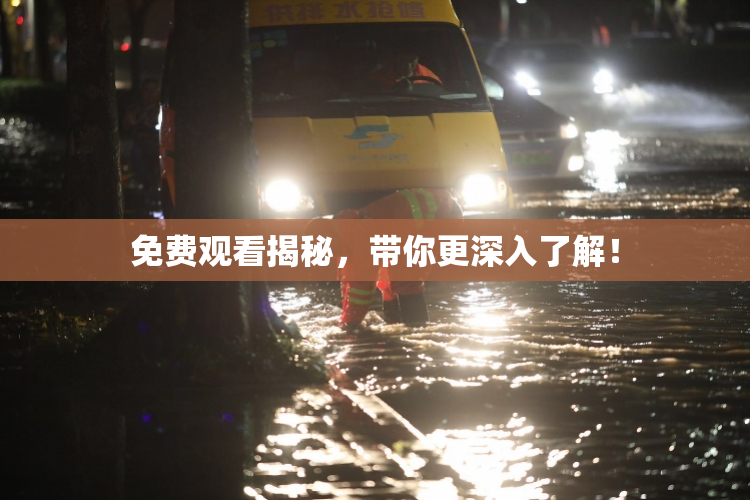 免费观看揭秘，带你更深入了解！