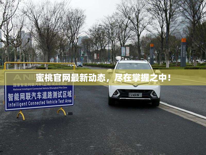蜜桃官网最新动态，尽在掌握之中！