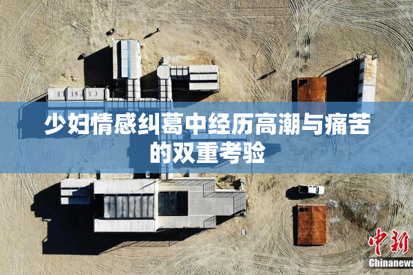 少妇情感纠葛中经历高潮与痛苦的双重考验