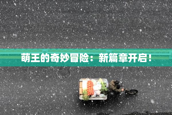 萌王的奇妙冒险：新篇章开启！