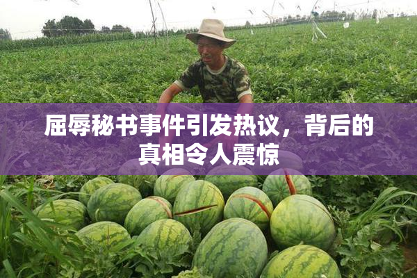 屈辱秘书事件引发热议，背后的真相令人震惊