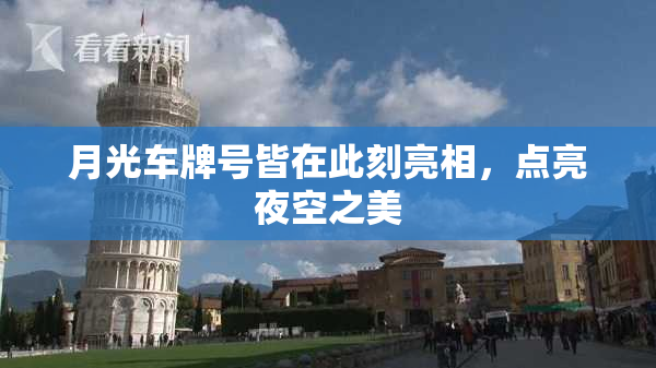 月光车牌号皆在此刻亮相，点亮夜空之美