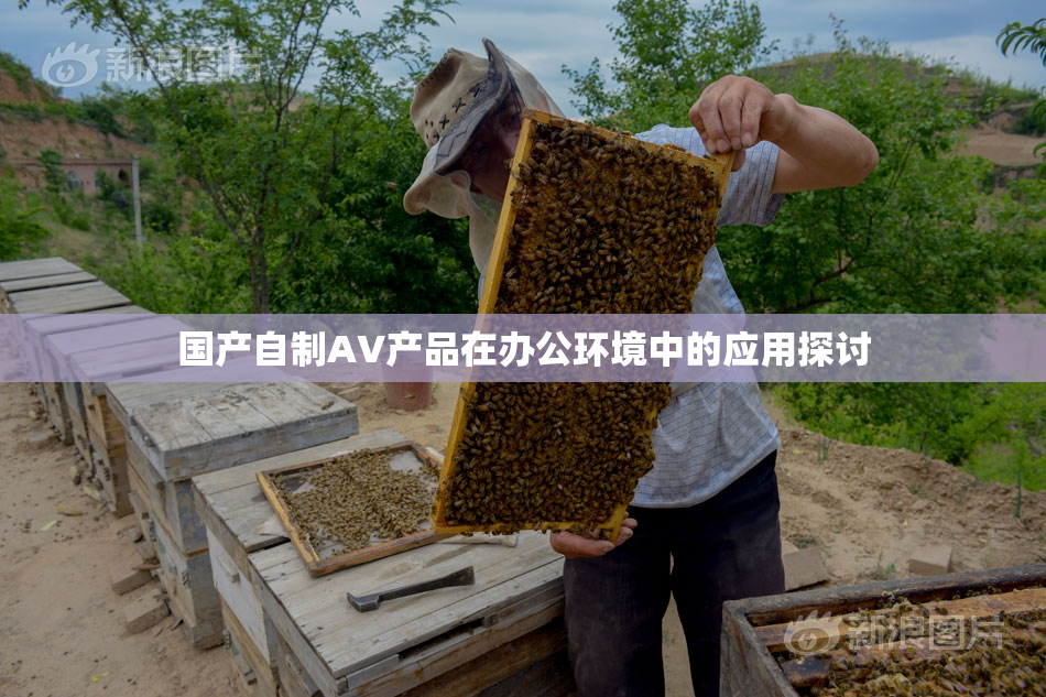 国产自制AV产品在办公环境中的应用探讨