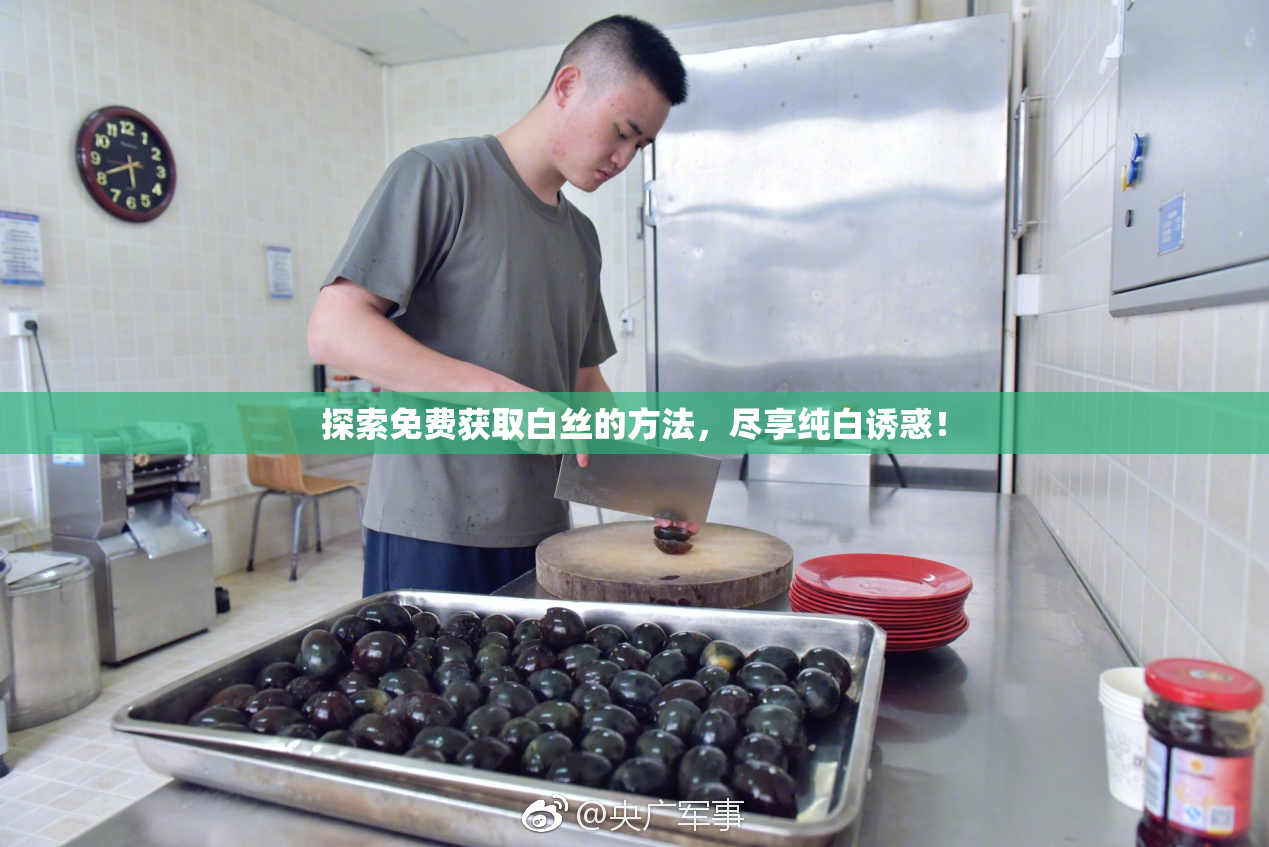 探索免费获取白丝的方法，尽享纯白诱惑！