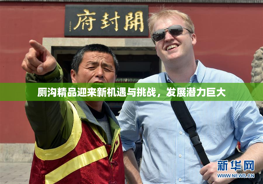 厕沟精品迎来新机遇与挑战，发展潜力巨大