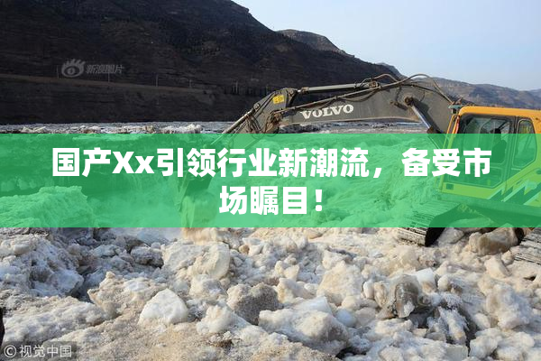 国产Xx引领行业新潮流，备受市场瞩目！