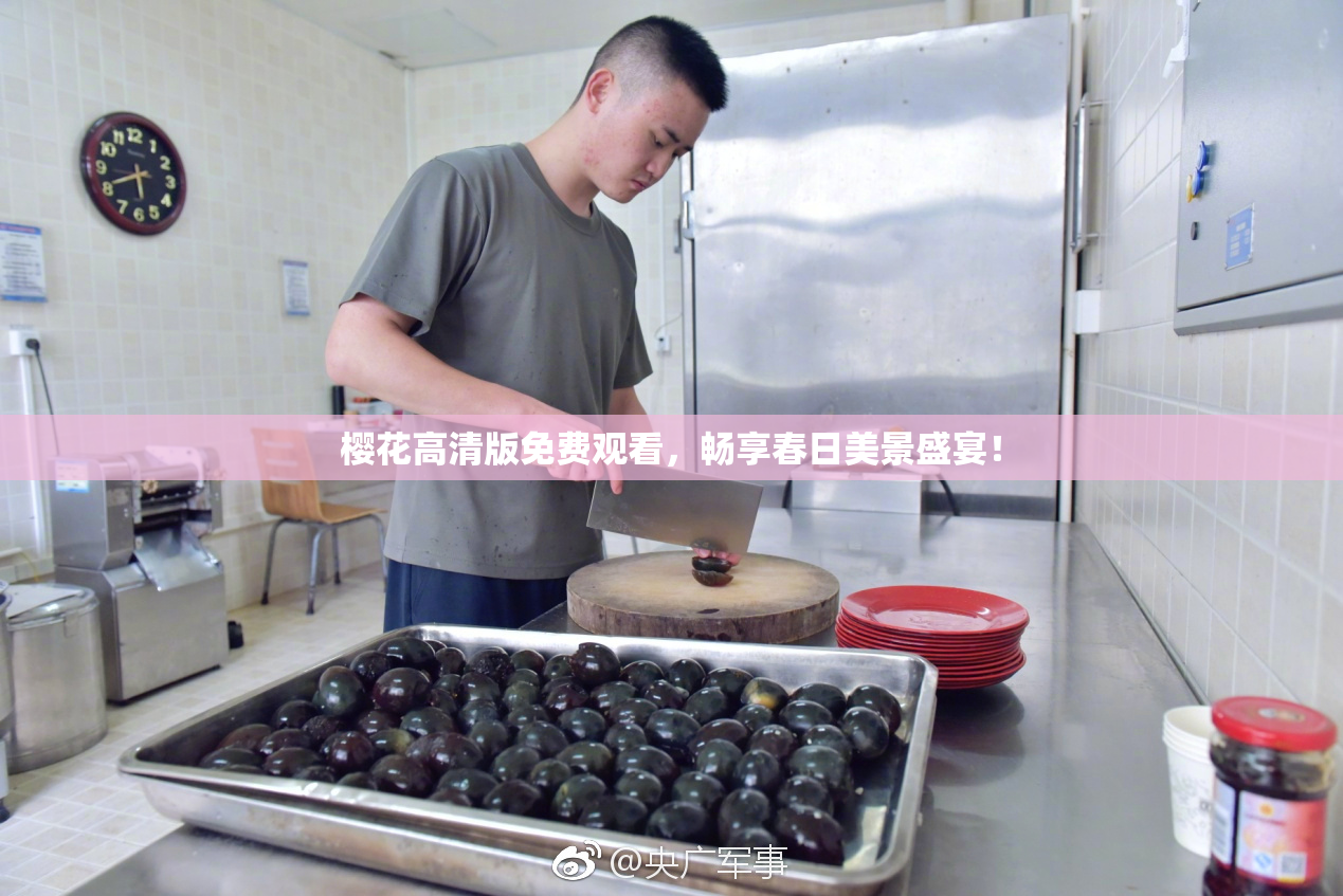 樱花高清版免费观看，畅享春日美景盛宴！