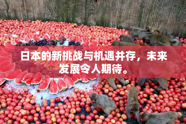 日本的新挑战与机遇并存，未来发展令人期待。