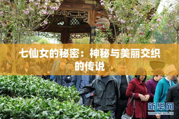 七仙女的秘密：神秘与美丽交织的传说