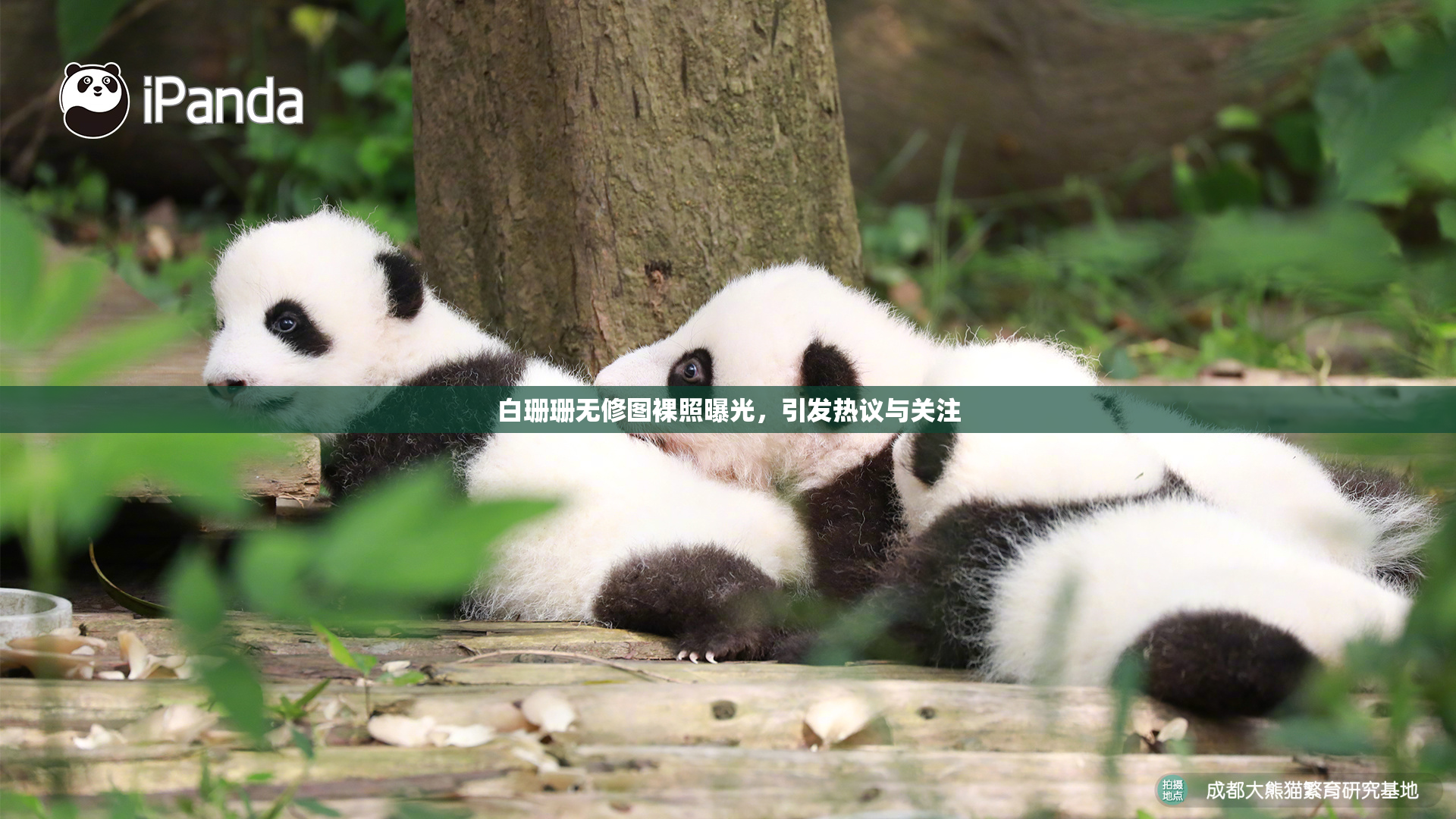 白珊珊无修图裸照曝光，引发热议与关注