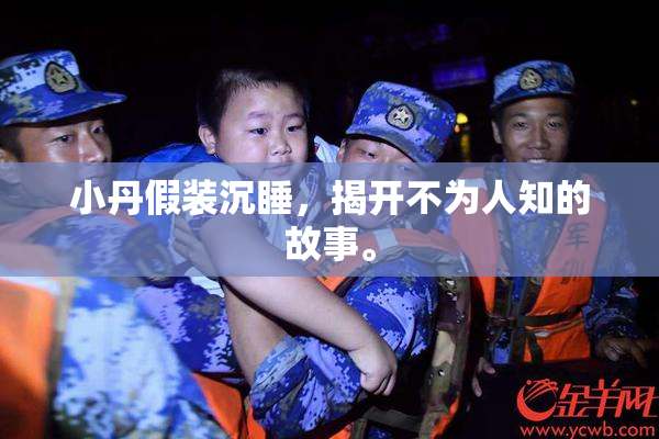 小丹假装沉睡，揭开不为人知的故事。