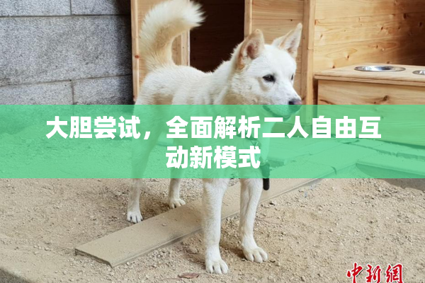 大胆尝试，全面解析二人自由互动新模式