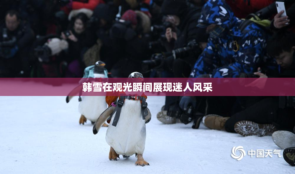 韩雪在观光瞬间展现迷人风采