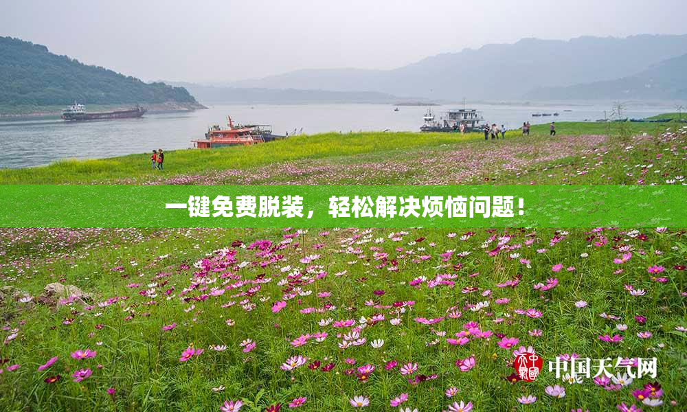 一键免费脱装，轻松解决烦恼问题！