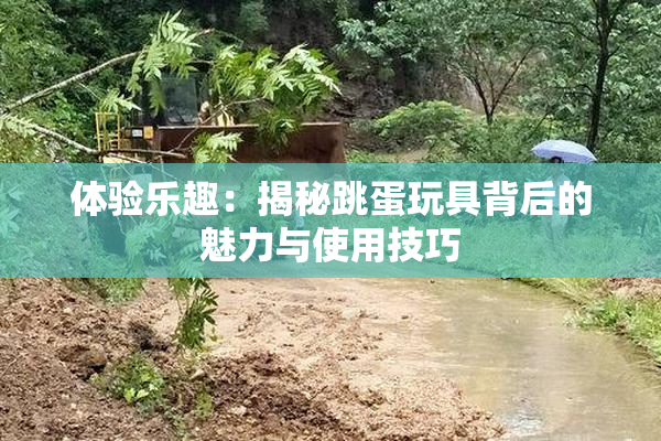 体验乐趣：揭秘跳蛋玩具背后的魅力与使用技巧
