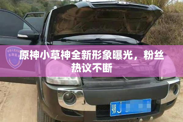 原神小草神全新形象曝光，粉丝热议不断